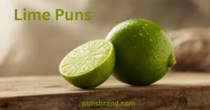 300 Hilarious Lime Puns That Will Zest Up Your Day