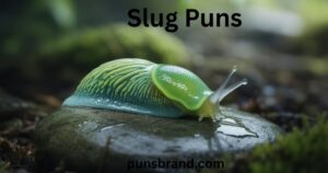Slug Puns and Jokes