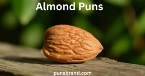 Almond Puns and Jokes