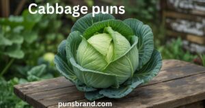 Cabbage Puns And Jokes