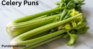 Celery Puns And Jokes