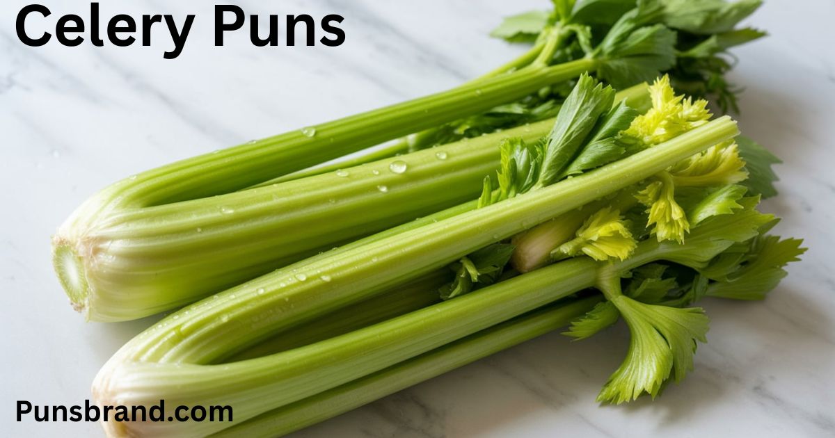 Celery Puns And Jokes
