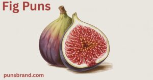 Fig Puns and Jokes