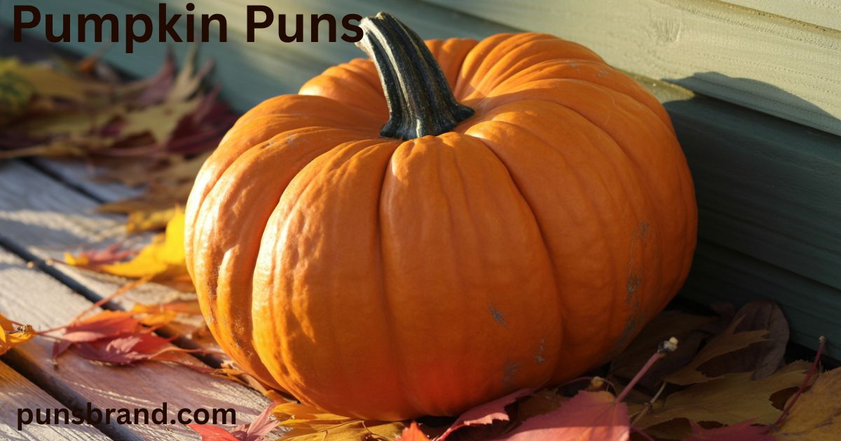 Pumpkin Puns And Jokes