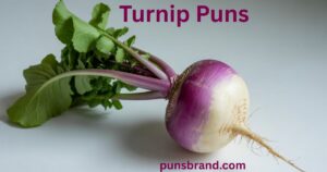 turnip puns and jokes
